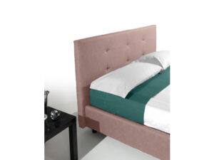 NAP_L_AL_ 705 detaliu 2 NAP_L_AL_ 705 detaliu 2