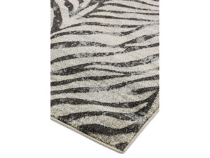 nova-27-zebra_2 nova-27-zebra_2