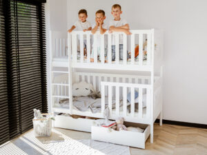 DAWID12 DAWID12