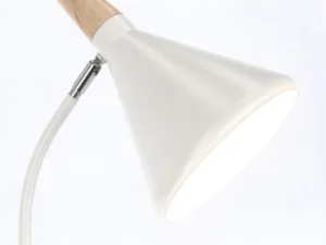Brill-alb (2)