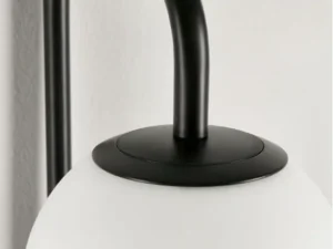 Delphine-negru (2)