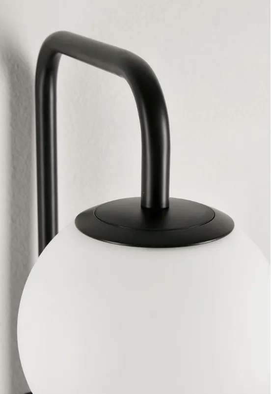 Delphine-negru (2) Delphine-negru (2)