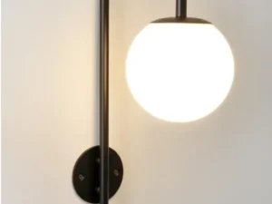 Delphine-negru (3)