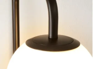 Delphine-negru (4)