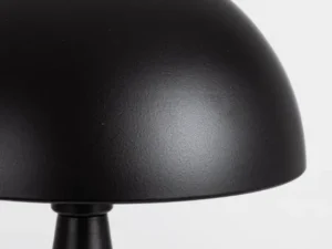 modern-negru (2)