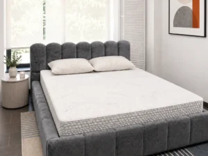 Pat Lupine outlet